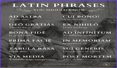 A Profile Of A Latin Beauty