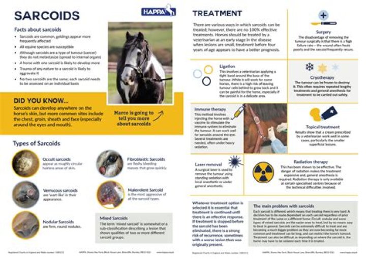 Are equine sarcoids hereditary?