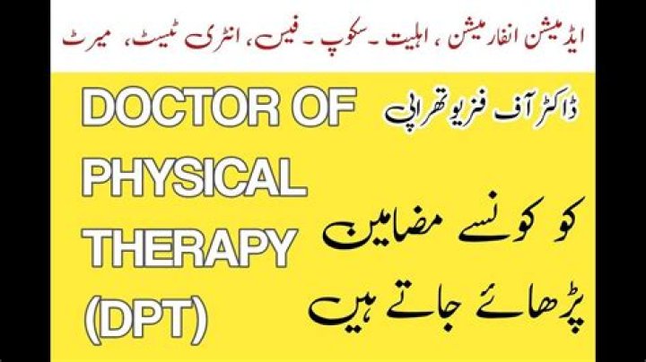 Can a dpt be called doctor?