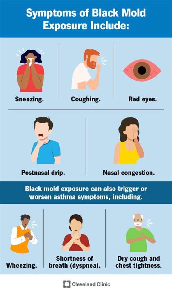 Can black mold make you sick?