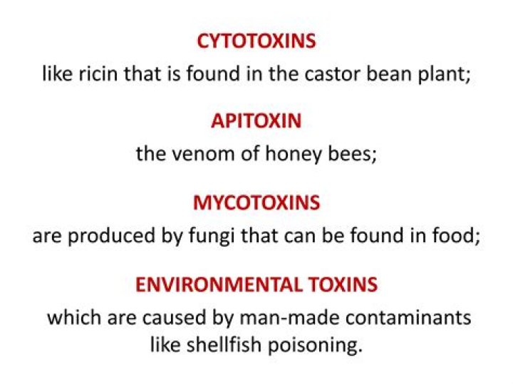 Can cytotoxins be stored with other drugs?