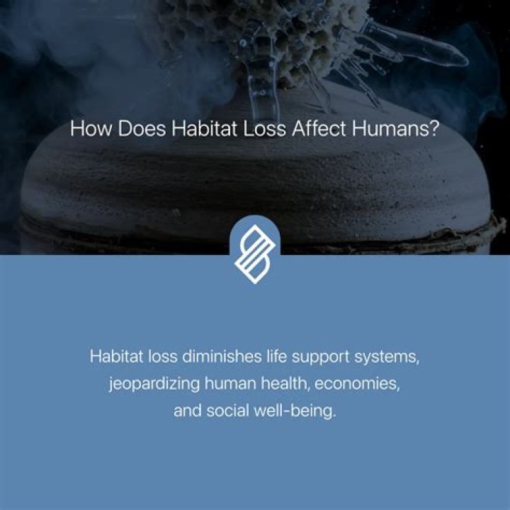Can scours affect humans?