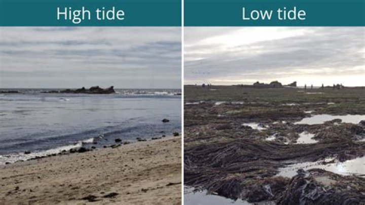 Can there be low tide at night?