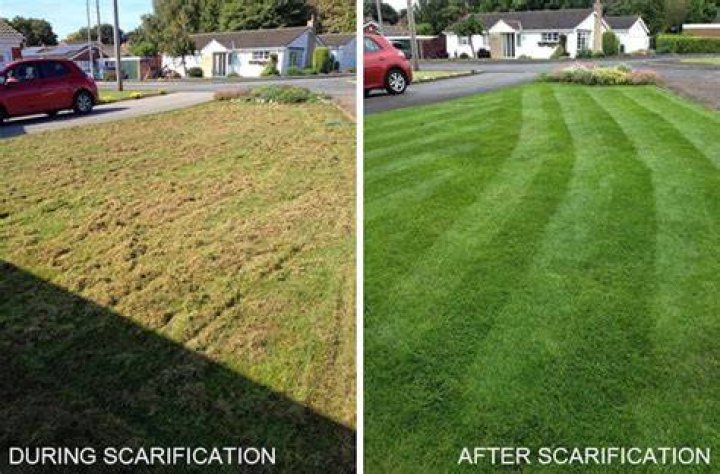 Can you mow lawn after scarifying?