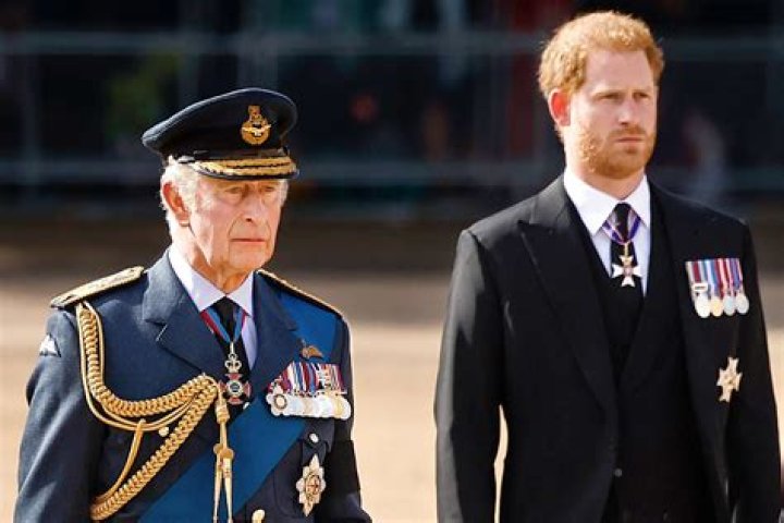 Did prince harry consult on the crown?