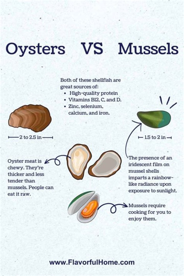 Do mussels taste like oysters?