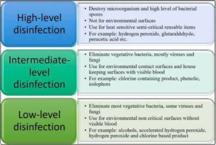 Does high level disinfection kill spores?
