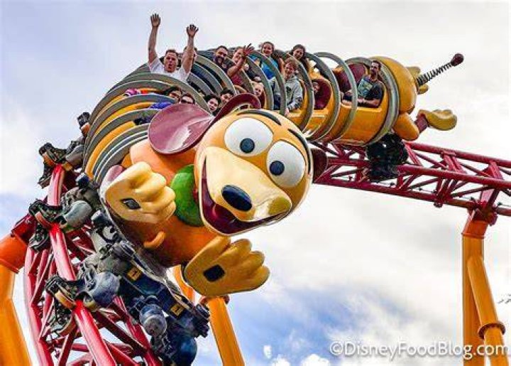 Does slinky dog dash take pictures?