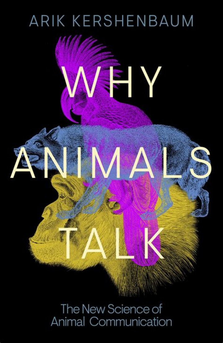 Does speak with animals work on familiars?