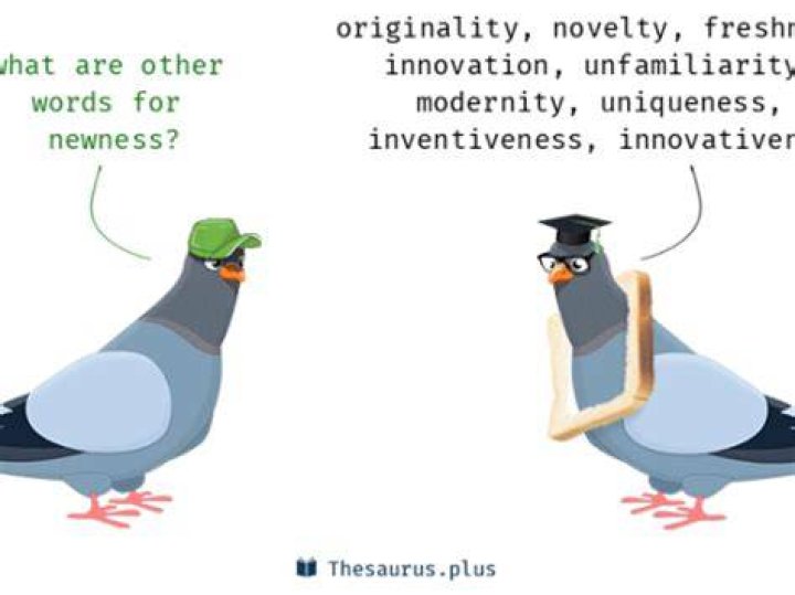 Does the word newness exist?