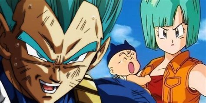 Does vegeta care about bulma?