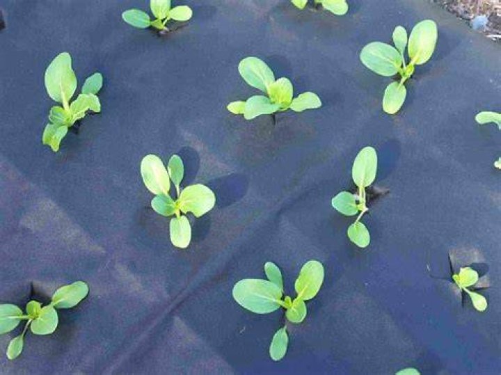 Does weed matting let water through?
