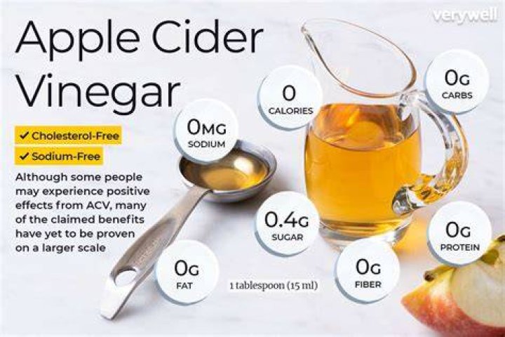 Has vinegar got sugar in it?