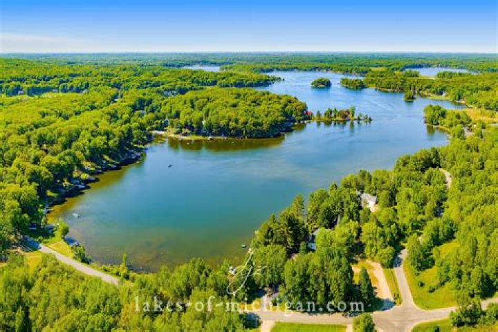 How big is mecosta lake?