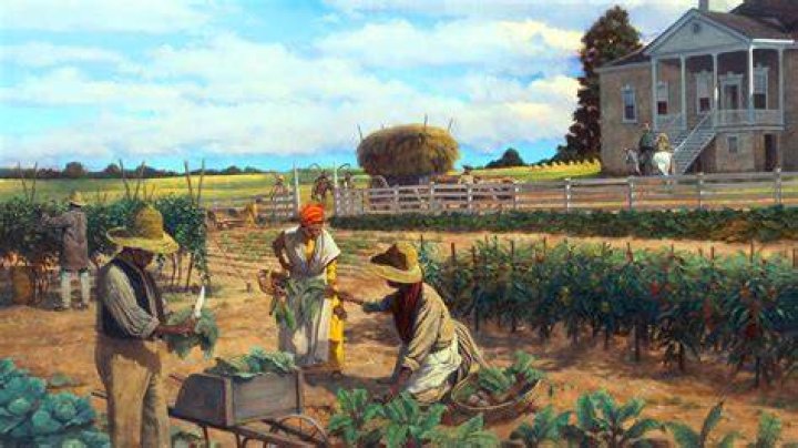 How did plantation slave labor begin?