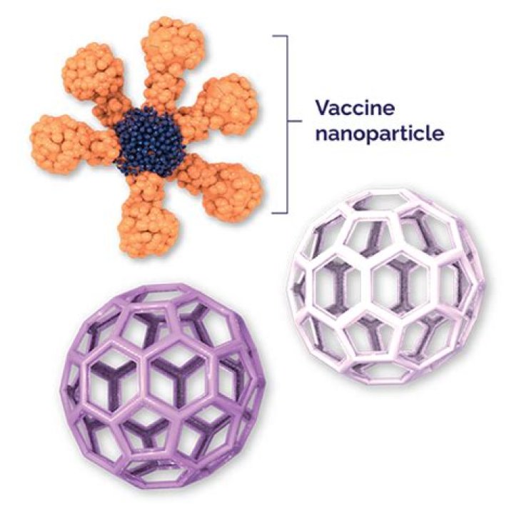 How novavax is made?