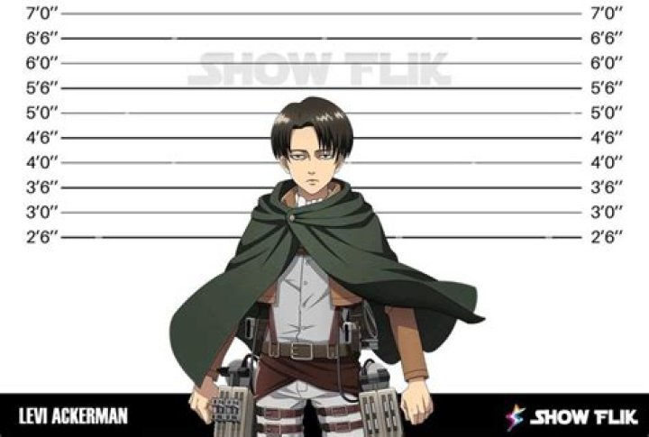 How tall is levi?