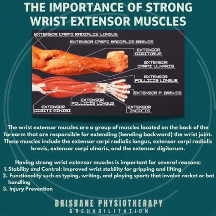 How to strengthen wrist extensors?