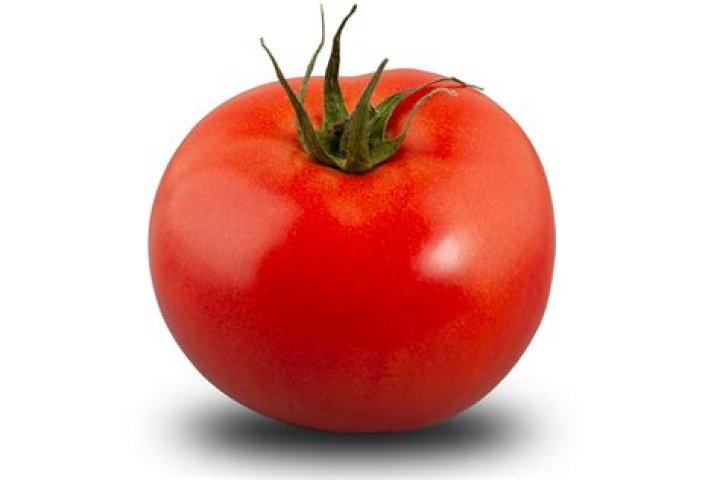 In tomato the fruit is a?