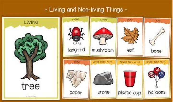 Is an apple on a tree living or nonliving?