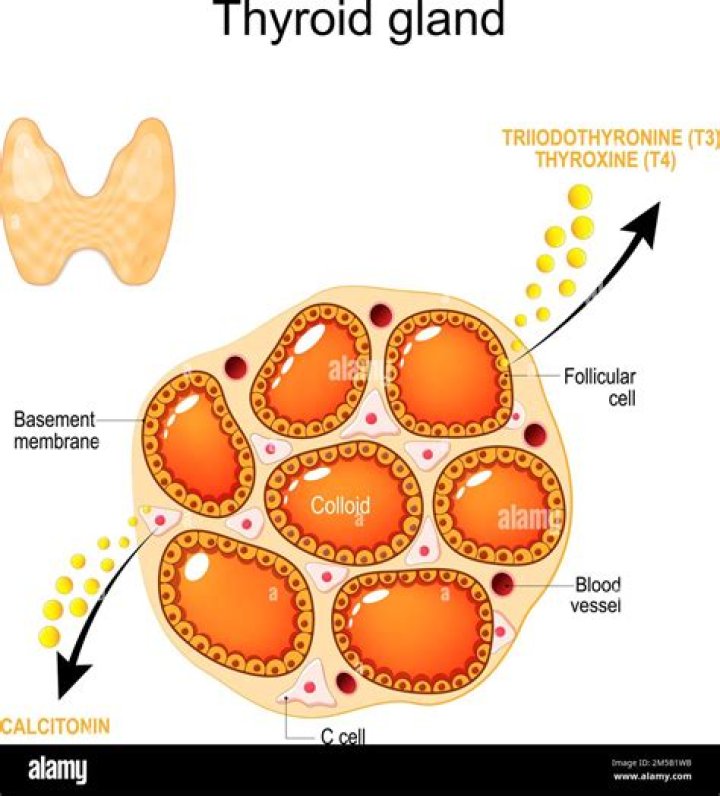 Is follicular thyroid cancer curable?