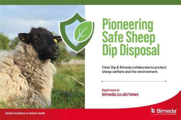 Is sheep dip safe for dogs?