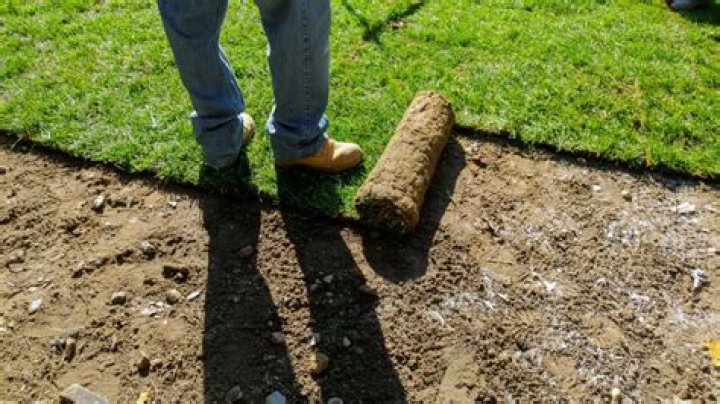 Should i till before laying sod?