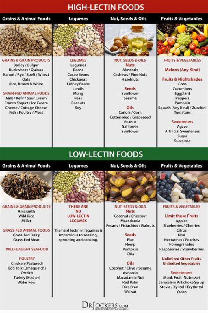 Should we eat lectins?