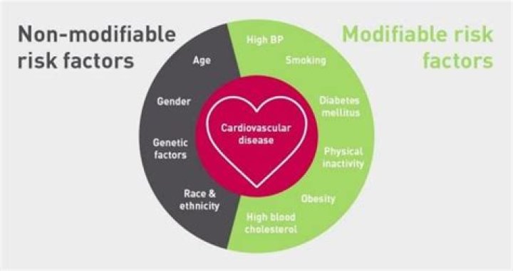 What are unmodifiable risk factors?