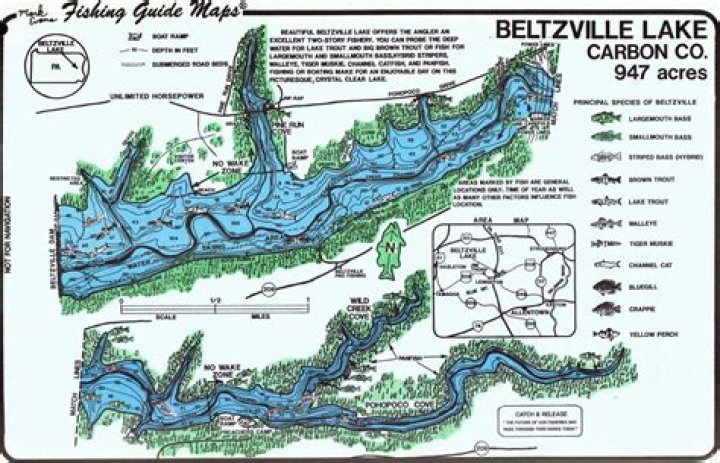 What county is beltzville lake in?