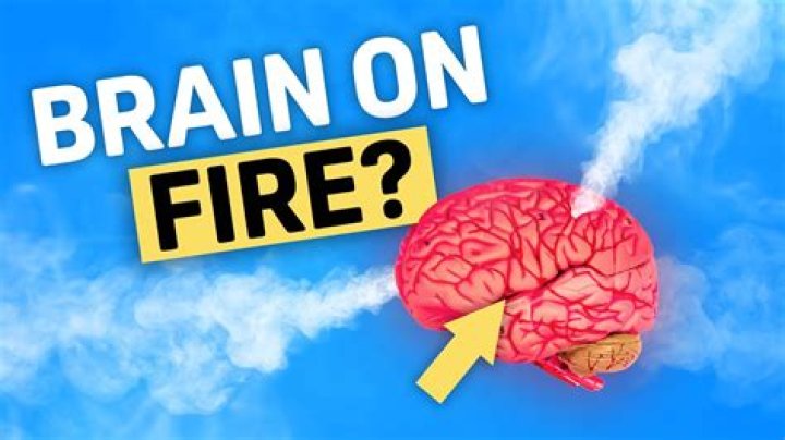 What does fevered brain?
