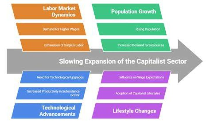 What is capitalist sector?