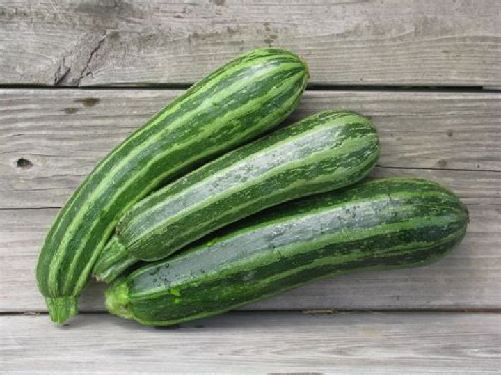 What is cocozelle squash?