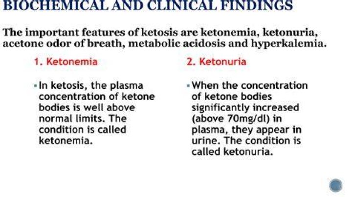 What is ketonemia quizlet?