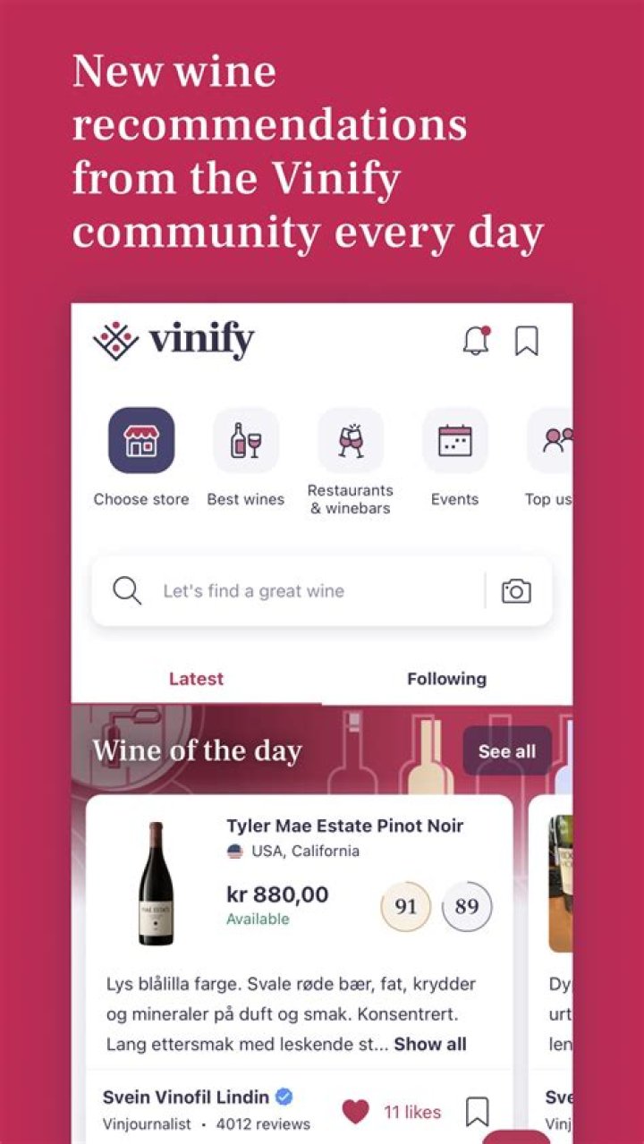 What is the meaning of vinify?