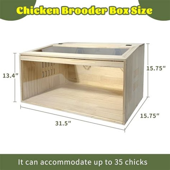 Whats a brooding box?