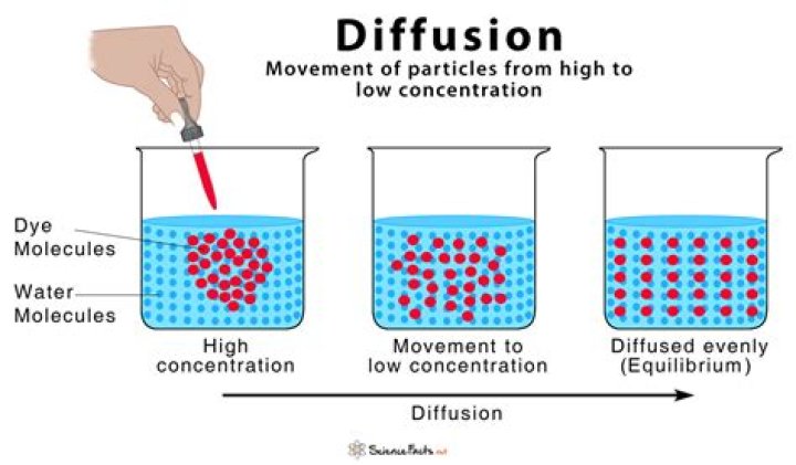 When diffusion occurs molecules move from a?