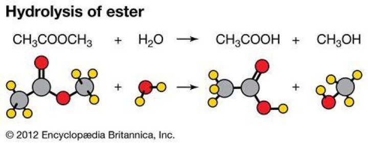 When does hydrolysis occur?