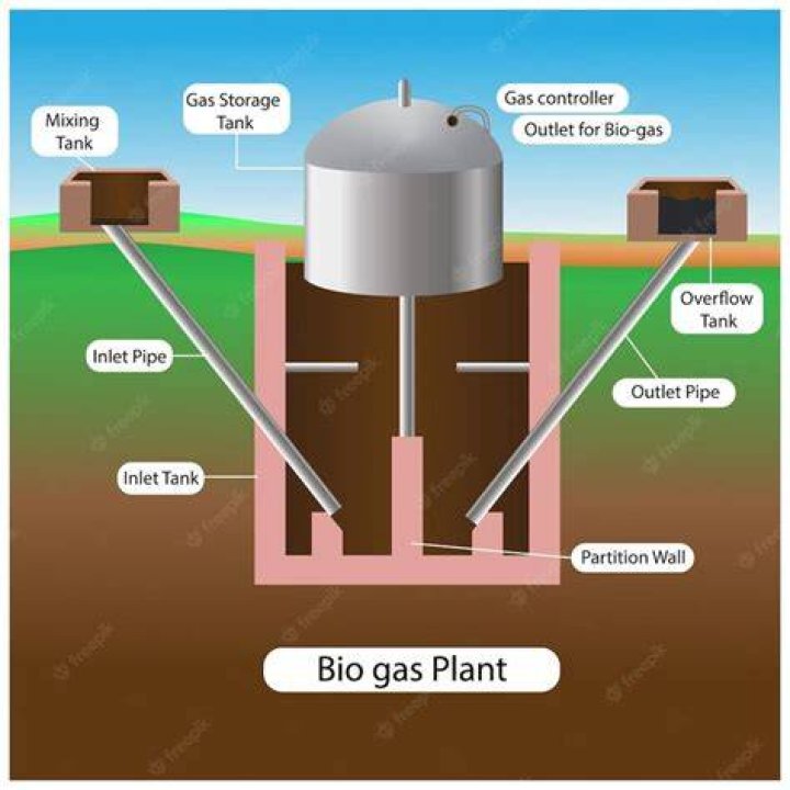 When is bio gas?