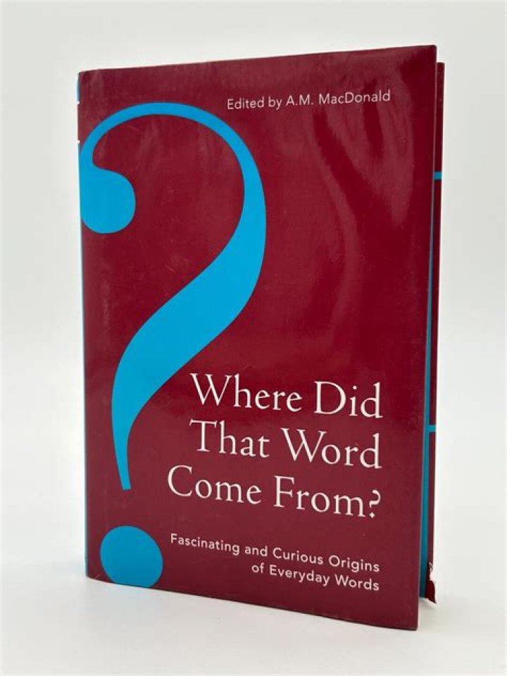 Where did the word scatology come from?