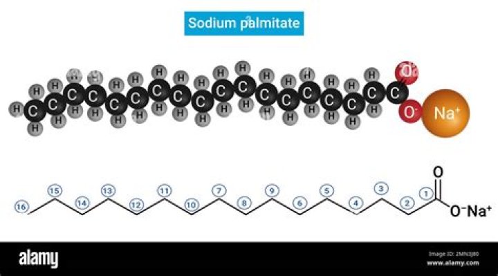 Where does sodium palmitate come from?