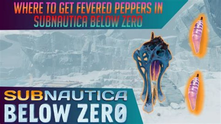 Where to get fevered pepper?