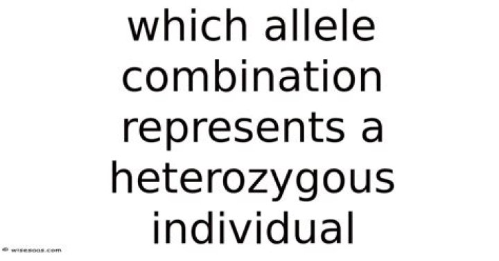 Which allele combination represents a heterozygous individual?