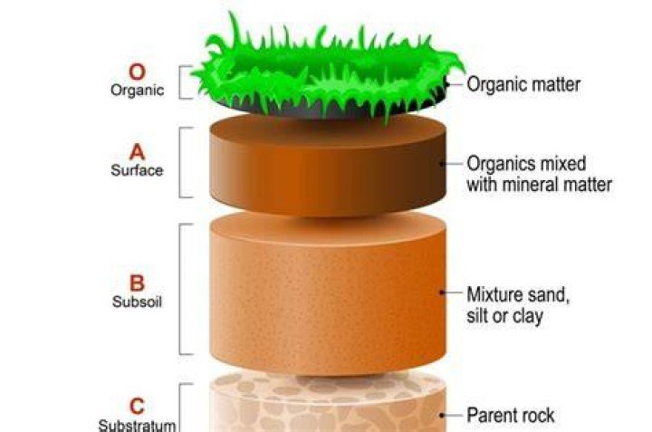 Which of the following are the components of loamy soil?