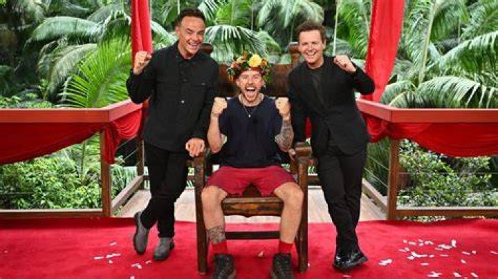 Who is the jesters voice in im a celebrity?