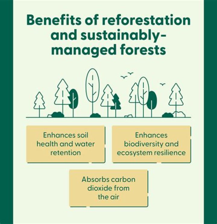 Why are the advantages of reforestation?