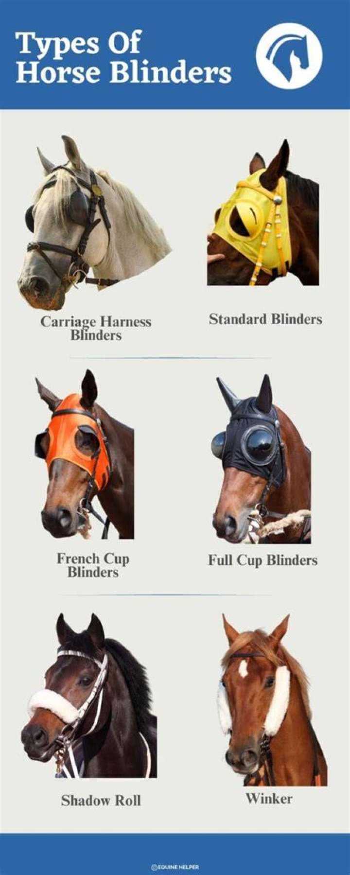 Why do horses wear winkers?
