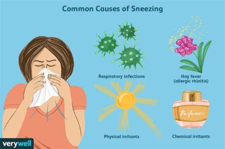 Why i'm sneezing a lot?