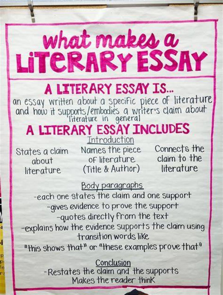 Why is a literary essay?