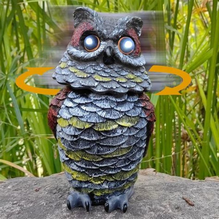 Will a fake owl keep birds away?